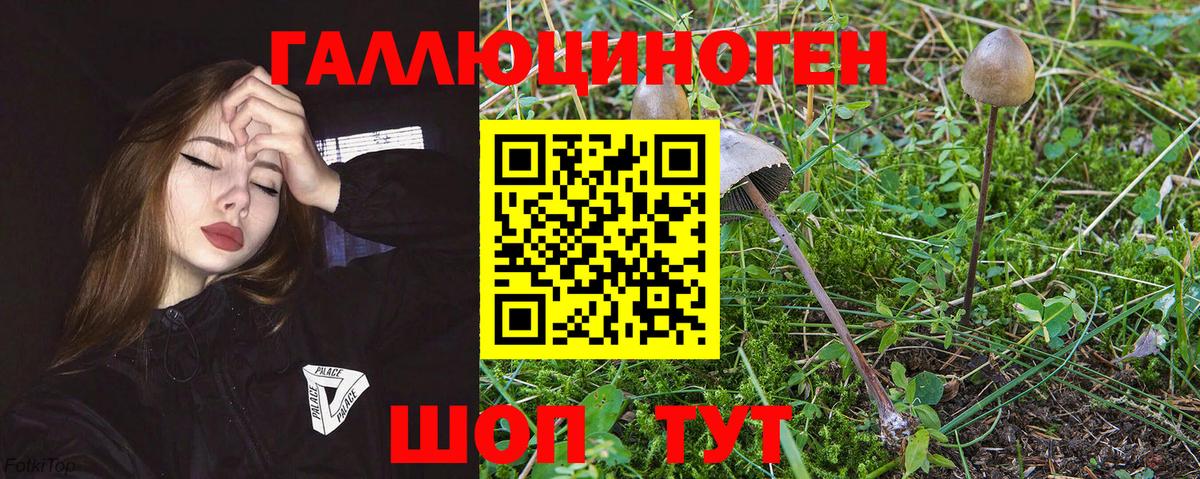 Галлюциногенные грибы Magic Shrooms  Вход с VPN  Кыштым  Псилоцибиновые грибы GOLDEN TEACHER 