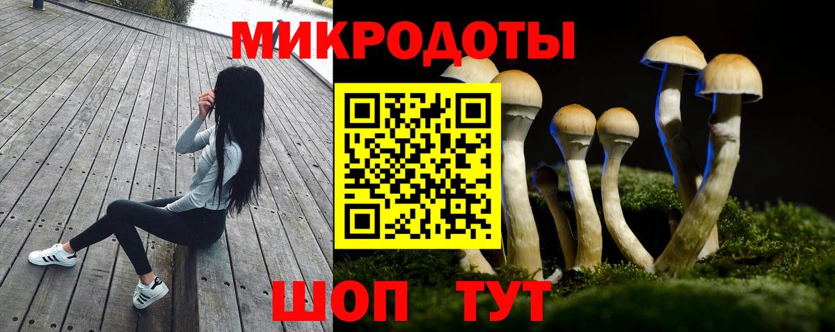Псилоцибиновые грибы GOLDEN TEACHER Кыштым